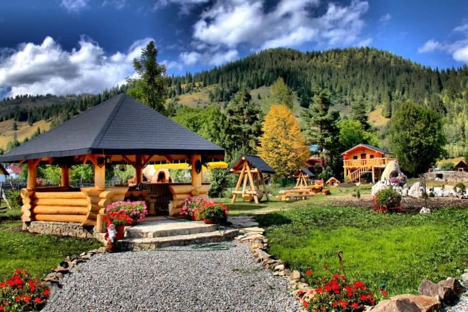 Zahrada ubytování Casa Baciu