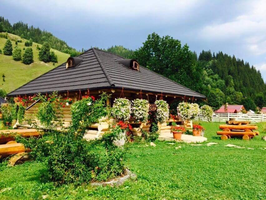 Zahrada ubytování Casa Baciu