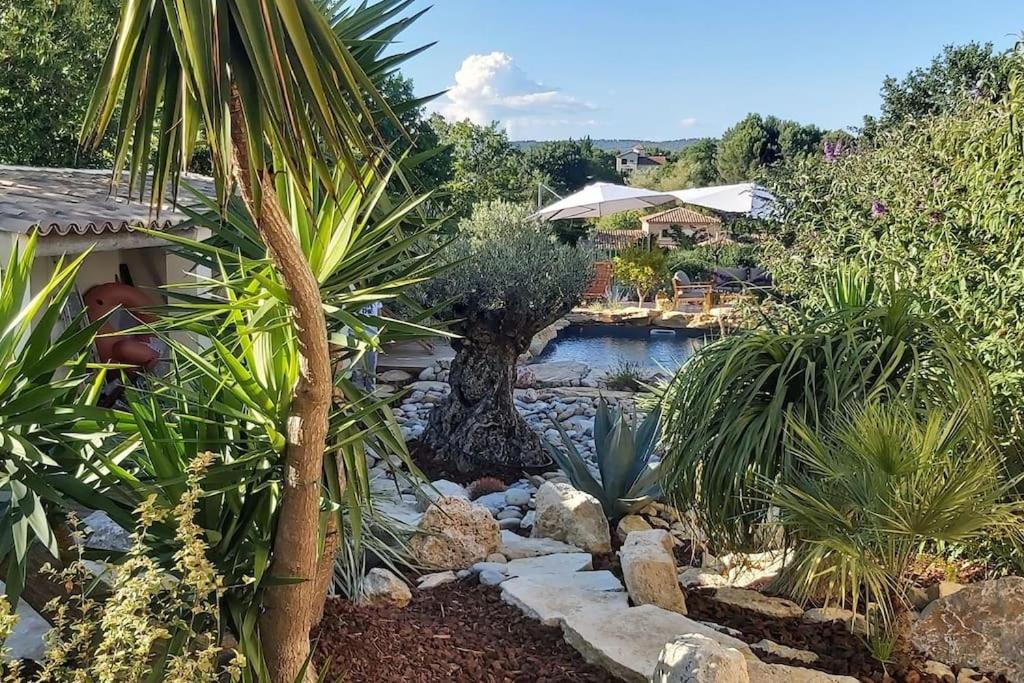 een tuin met een zwembad met water en planten bij Une Oasis au Pays de Cézanne in Aix-en-Provence