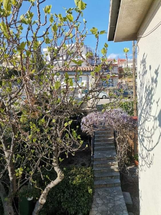 Guest House Sunce - 18