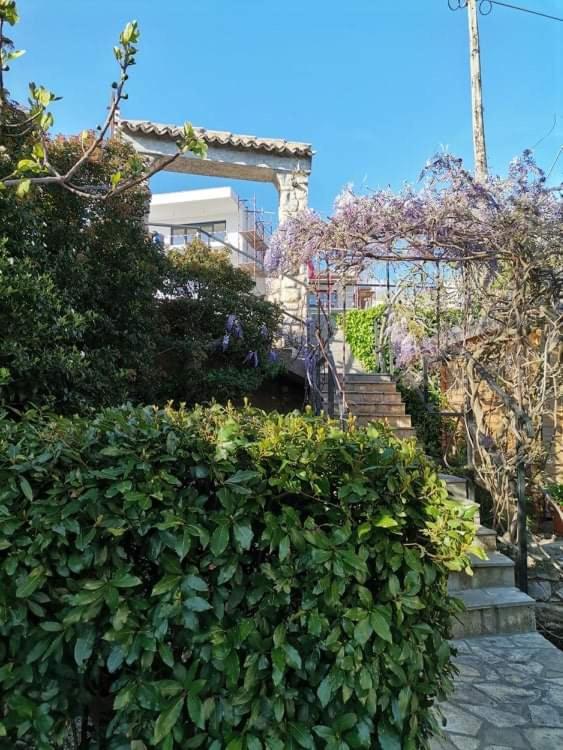 Guest House Sunce - 11