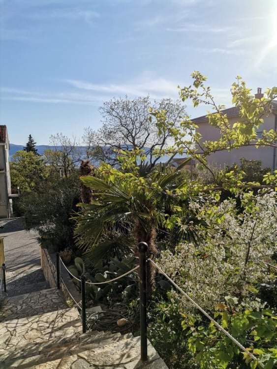 Guest House Sunce - 12