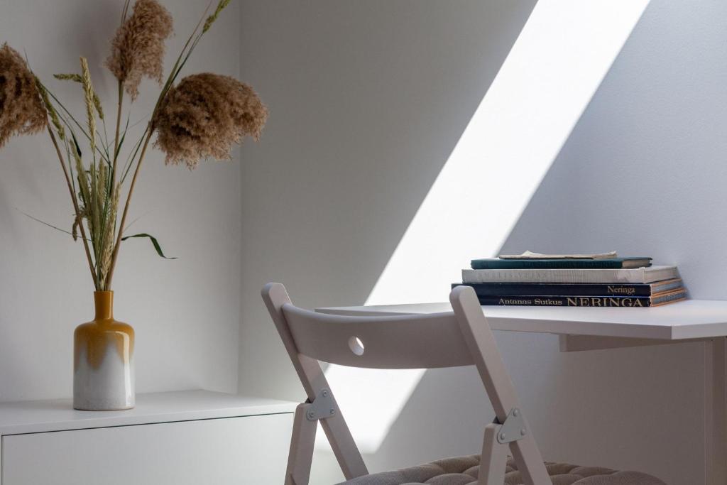 Lovely Nida Studio - 一居室公寓