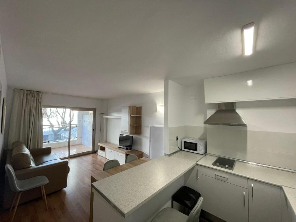 A kitchen or kitchenette at Apartamento Michelangelo