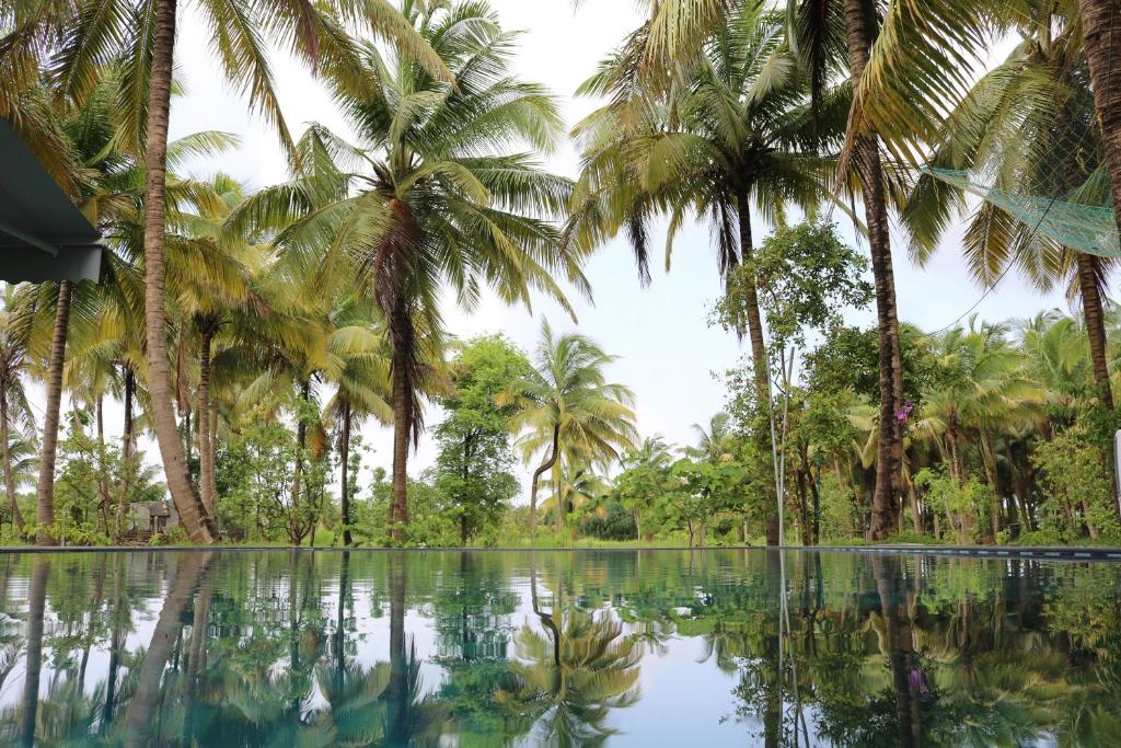 uma piscina de água em frente às palmeiras em Priti Garden Farmstay, Kelva Palghar em Māhīm