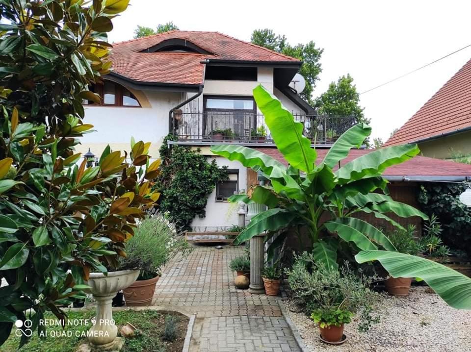 Zahrada ubytování Lavendel Apartman