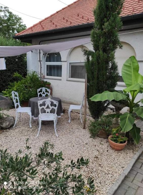 Zahrada ubytování Lavendel Apartman