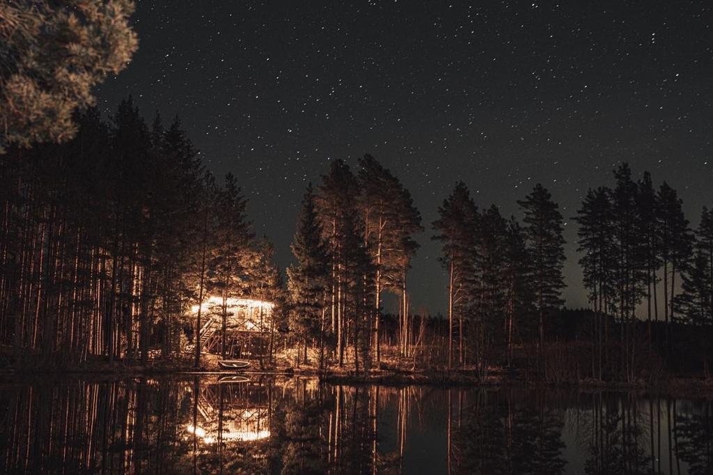 - une vue nocturne sur une forêt avec des lumières dans l'eau dans l'établissement Viking house in the tree! Jacuzzi, Sauna,apkure!, à Līči