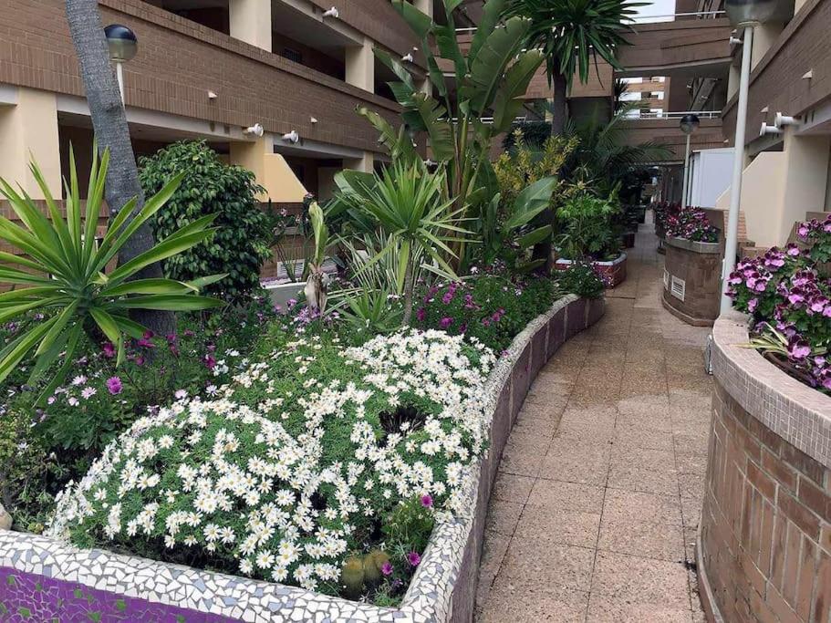 Zahrada ubytování VenAMarinador Playa Costa Caribe I - 269 - 2 Dormitorios/1 Baño WIFI