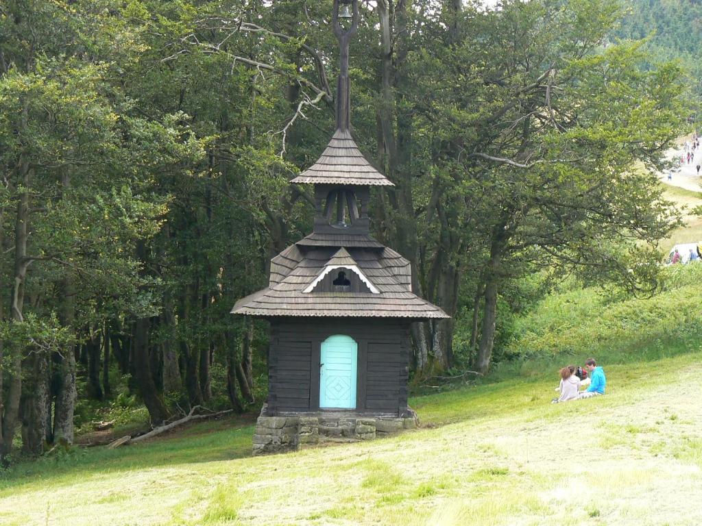 Příroda nedaleko hotelu
