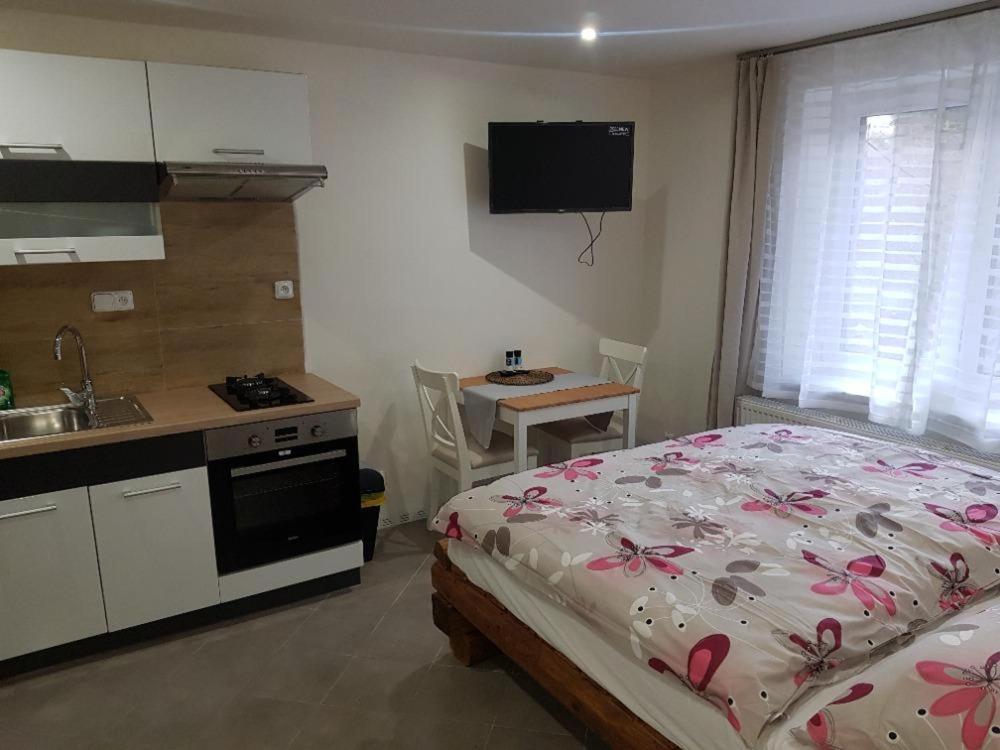 1 dormitorio con 1 cama y cocina con fregadero en Ubytování v Žimrovicích, en Hradec nad Moravicí