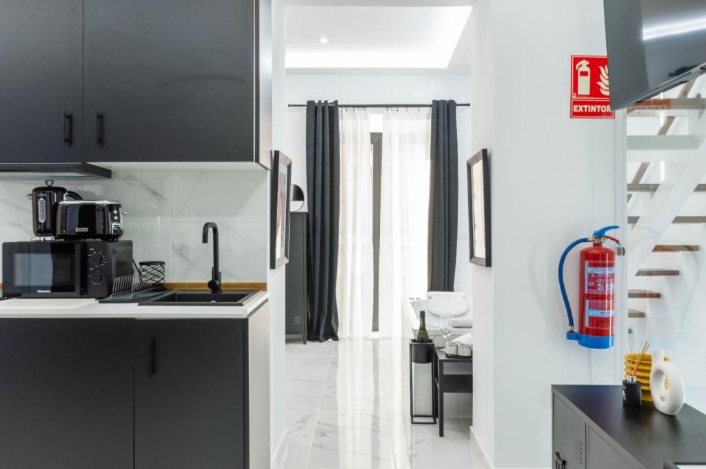 Kuchyň nebo kuchyňský kout v ubytování Apartamentos Élite - Art Collection - Andy