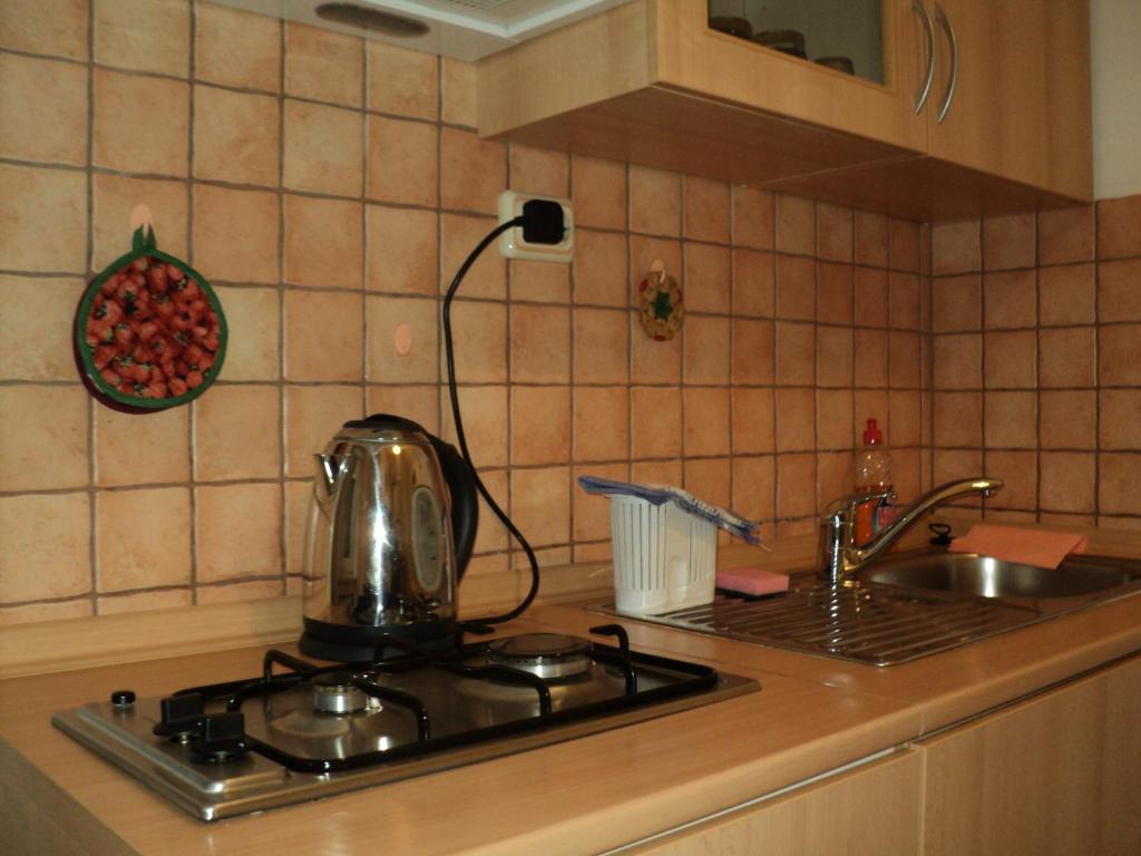Kuchnia lub aneks kuchenny w obiekcie Apartment Horvat