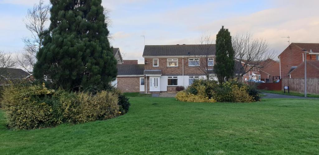 a large yard with two trees and a house at Badger's House, Willow Close, Filey in Filey