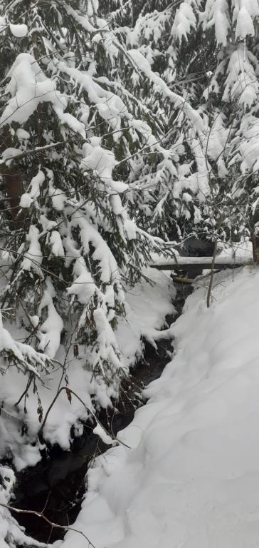 Cabana Valea Stanciului durante l'inverno