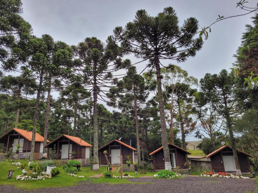a row of cottages in the woods with trees at Pousada Cardoso in Cambara do Sul