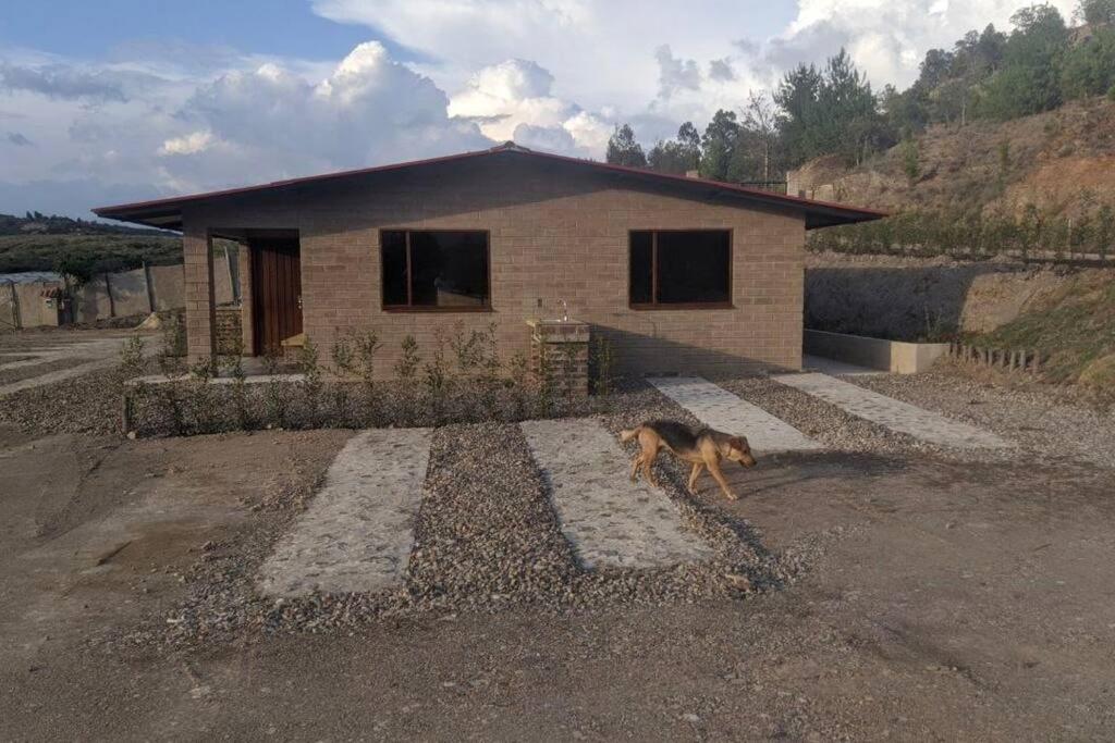 a dog walking in front of a house at Los Lagos in Sutamarchán