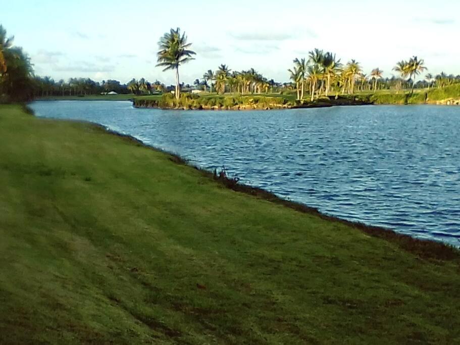 a large body of water with palm trees and grass at Cozy suite at coco Beach , not pets in Rio Grande