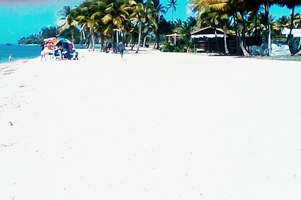 a beach with palm trees and people on the beach at Cozy suite at coco Beach , not pets in Rio Grande