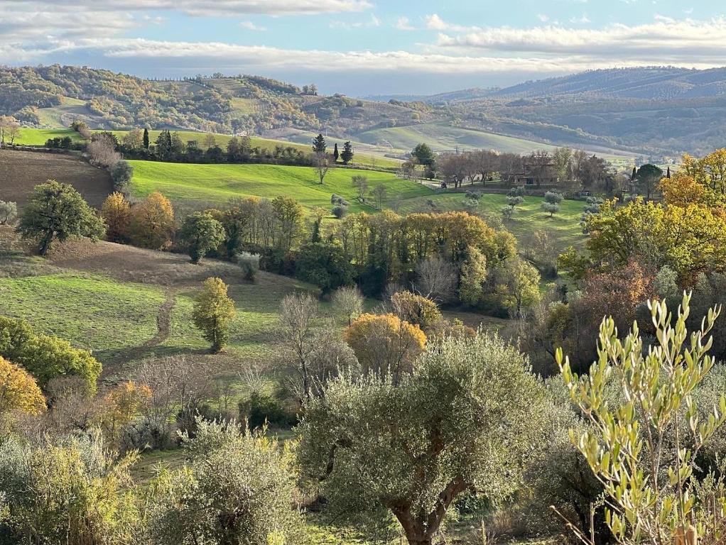 a view of a field with trees and hills at Casale Terre Rosse in Saturnia