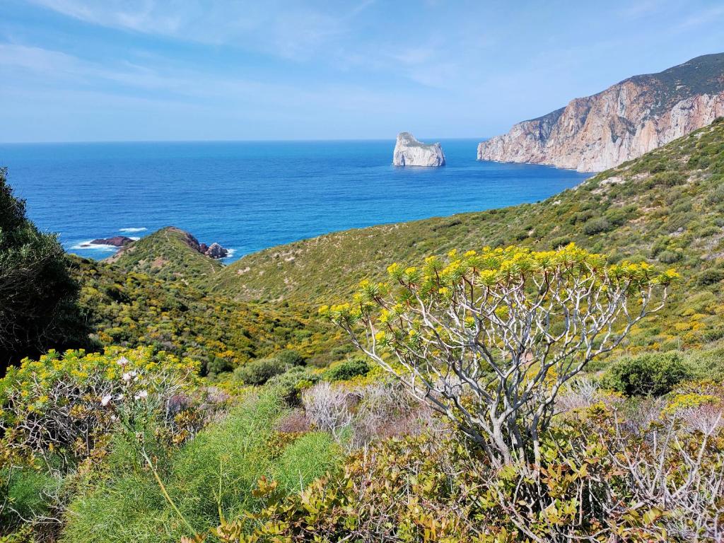 Villa Brezza Marina a Nebida - Lussuosa Villa Vista Mare