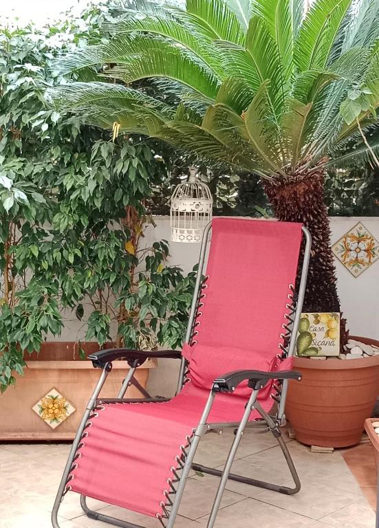 Ogród w obiekcie Casa Sicana