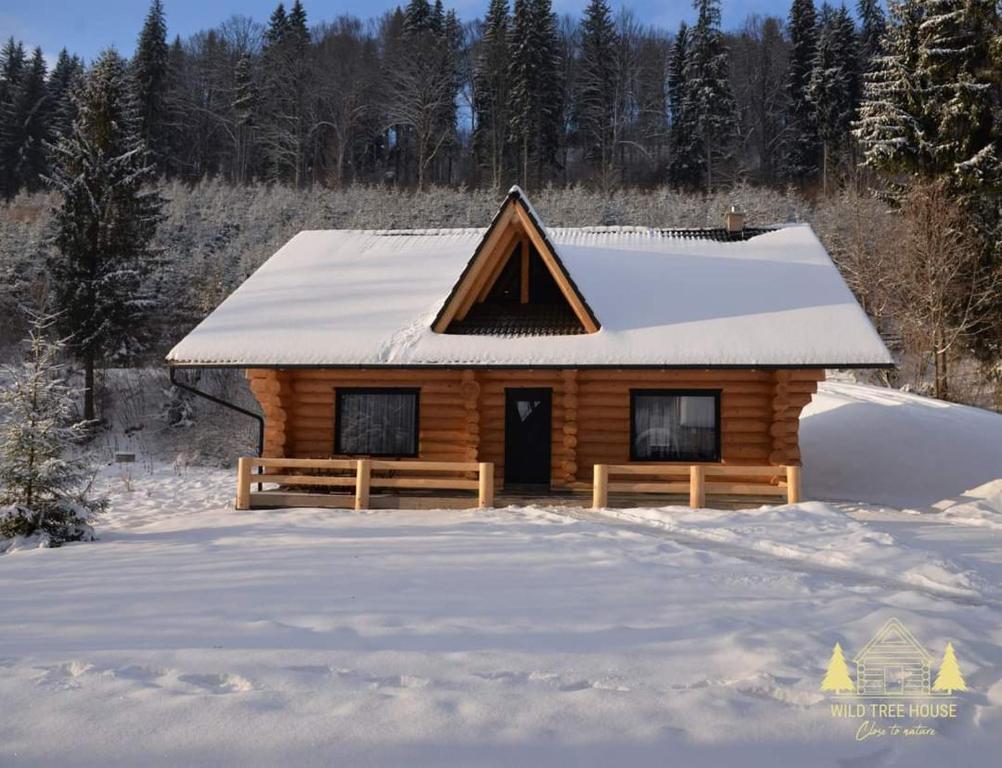 Cabaña de madera con nieve en el suelo en Wild tree house en Vărşag