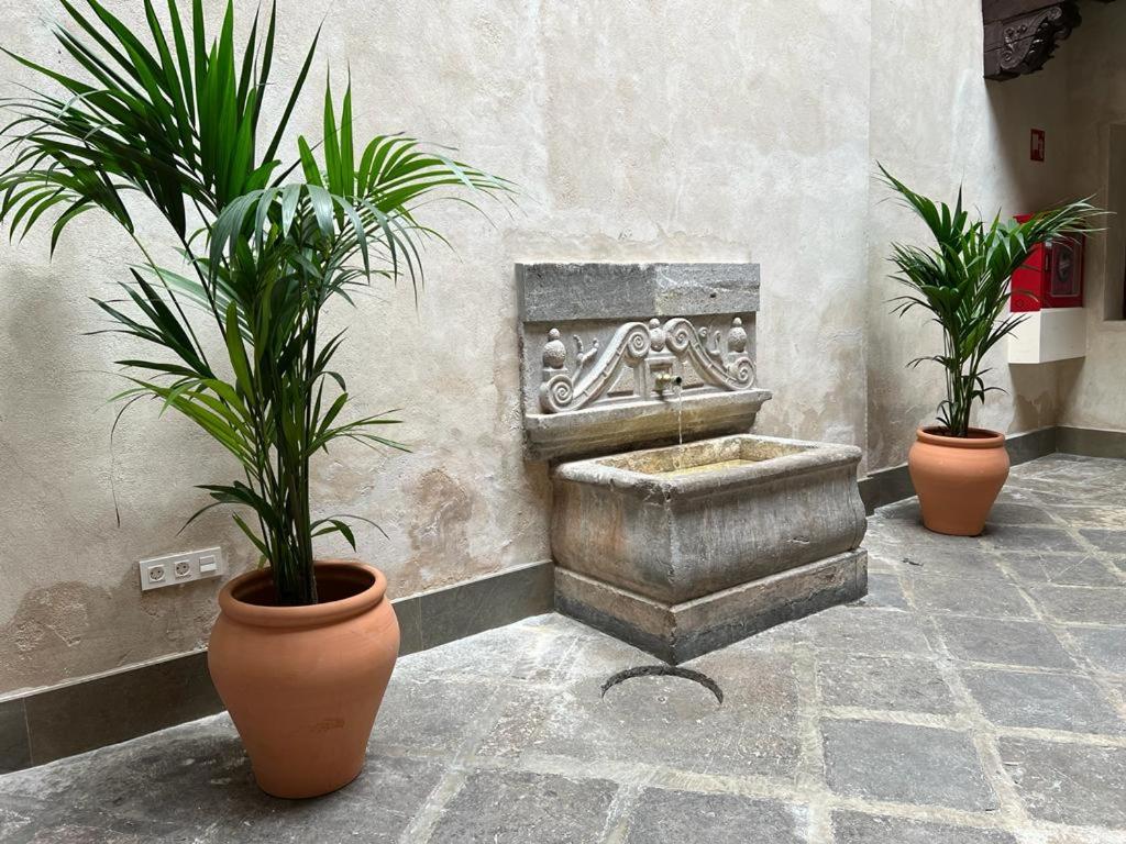 Hotel Mercader de Sedas by Maxi Hoteles - Resim 4