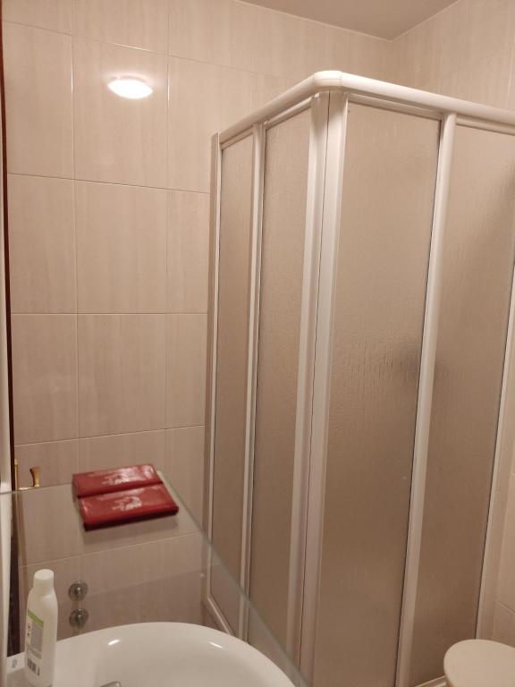 a bathroom with a shower stall and a toilet at OS MUIÑOS in Ribadeo