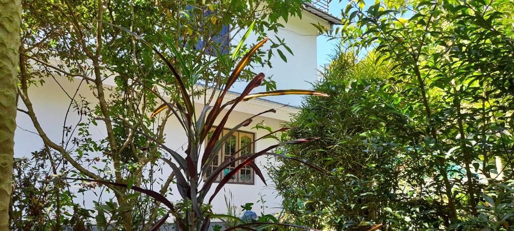 Zahrada ubytování Le Farmhouse Munnar