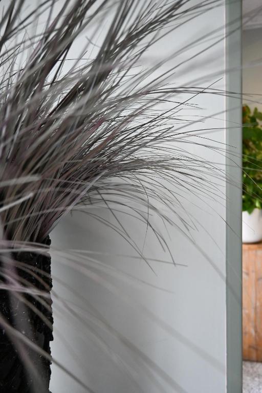 Hotel Doña Catalina - Resim 19