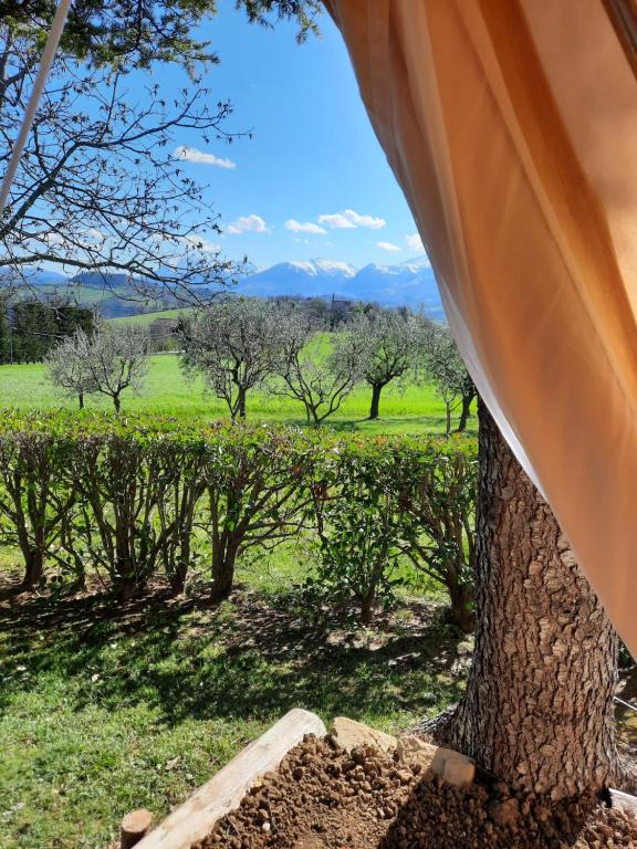Příroda nedaleko luxury tent