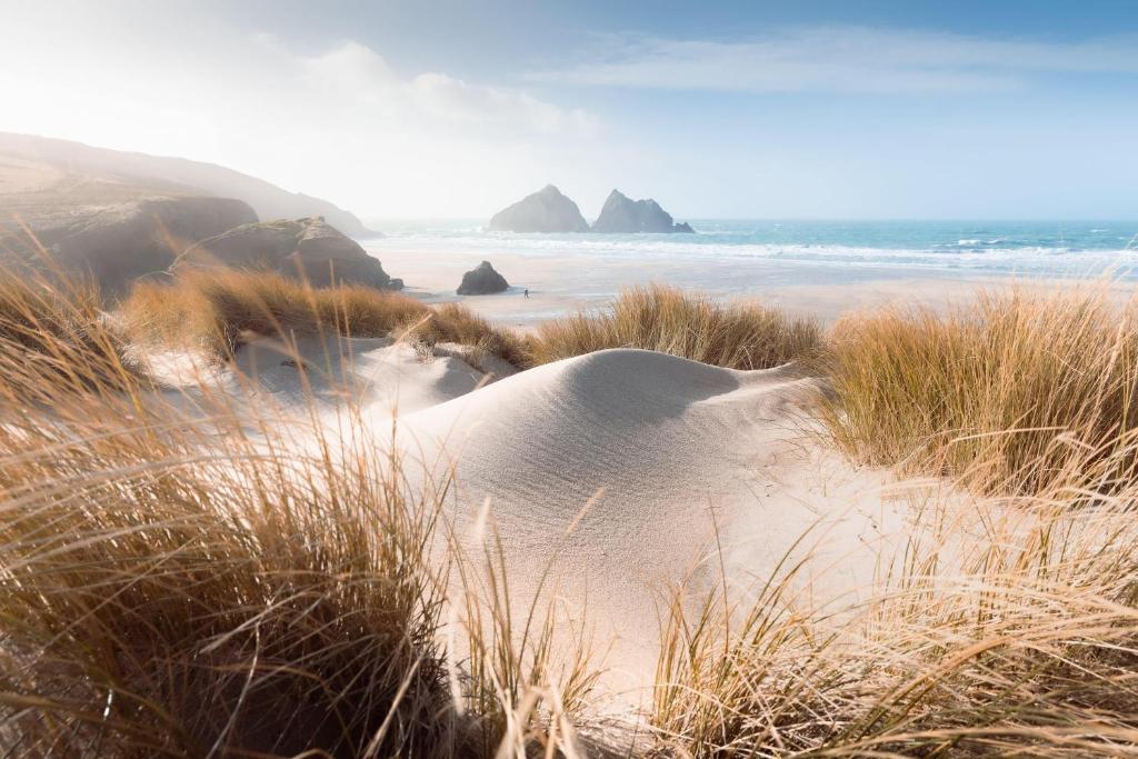 a beach with sand and grass and the ocean at Hoblyns Cove in Holywell Bay