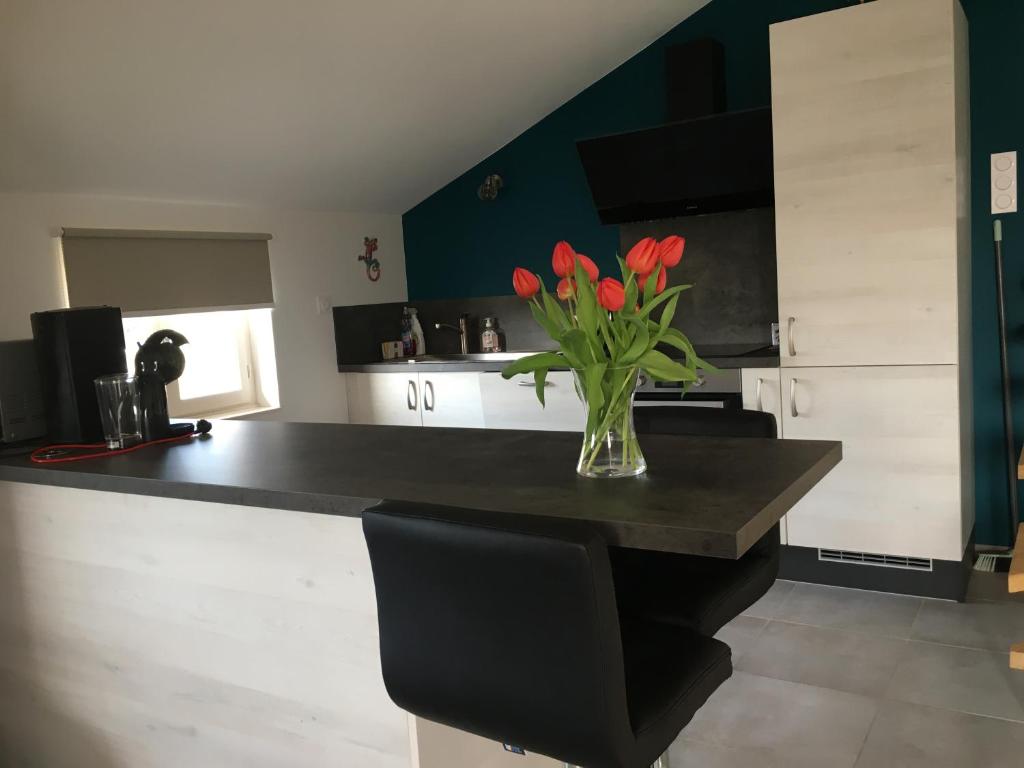 een keuken met een vaas met rode bloemen op een aanrecht bij Gîte de brizolles in Cluny