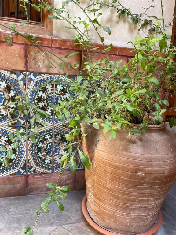 Hotel Santa Isabel La Real - Resim 32