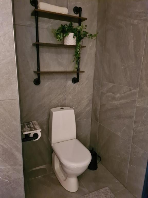 Koupelna v ubytování Pinebo Palace Guesthouse