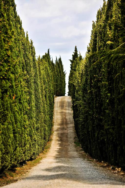 Zdjęcie z galerii obiektu Casalchino-Fattoria La Torre w mieście San Gimignano