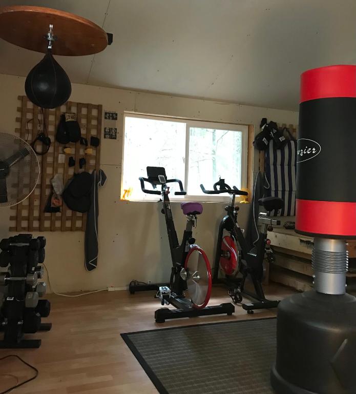 a room with two exercise bikes and a window at Five Elements Lodge B&B with Outdoor Spa in Fernwood