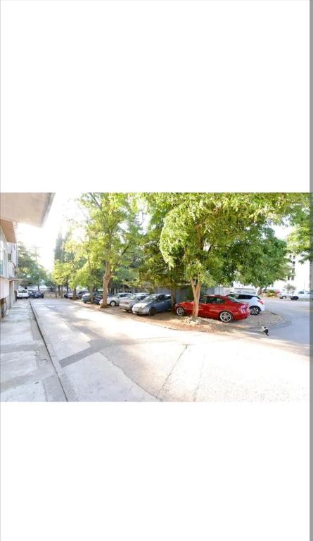 Fotografia z galérie ubytovania Apartman Kata v destinácii Zadar