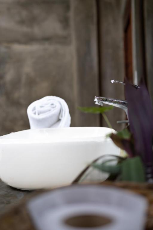 a close up of a white toilet seat at Casa Coraje in Palomino
