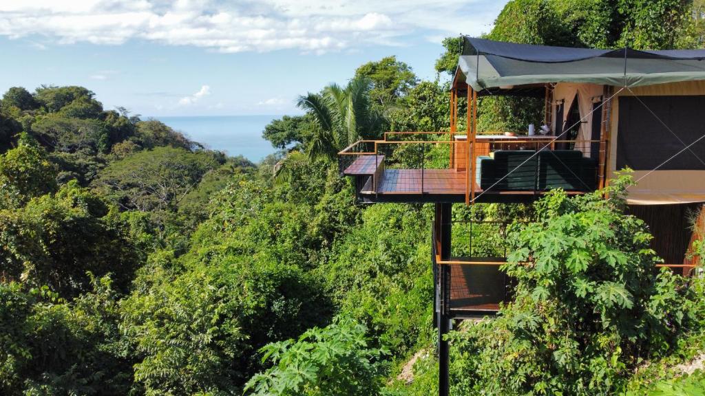 domek na drzewie w dżungli z widokiem na ocean w obiekcie HBG Glamping community Yoga & Wellness space w mieście Playa Santa Teresa