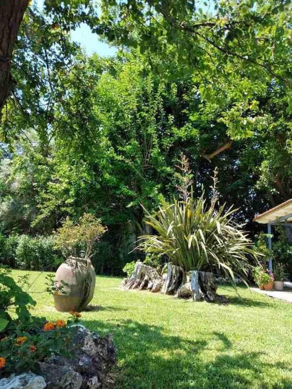 Ogród w obiekcie VILLA ANDRIANA