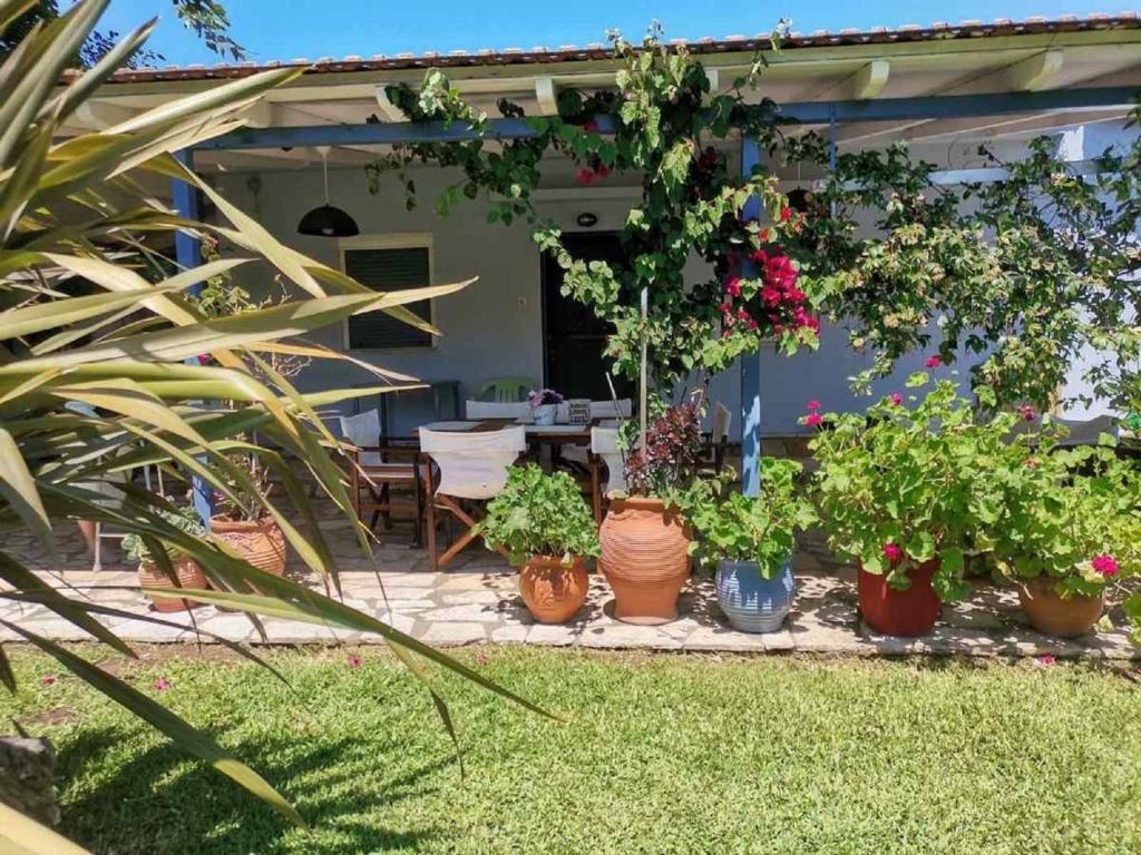 un patio con muchas macetas y una mesa en VILLA ANDRIANA, en Lefkada