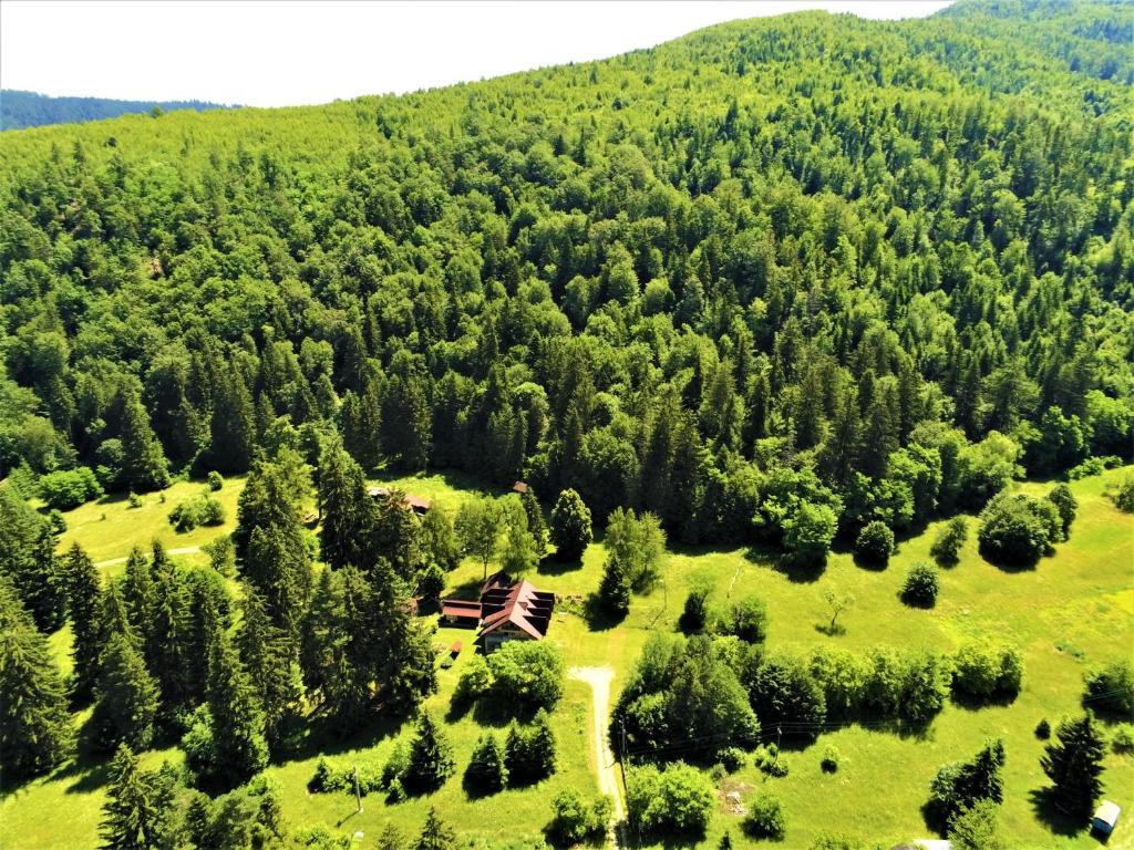 eine Luftansicht eines Hauses inmitten eines Waldes in der Unterkunft Cabana DUCA in Ciobănuş