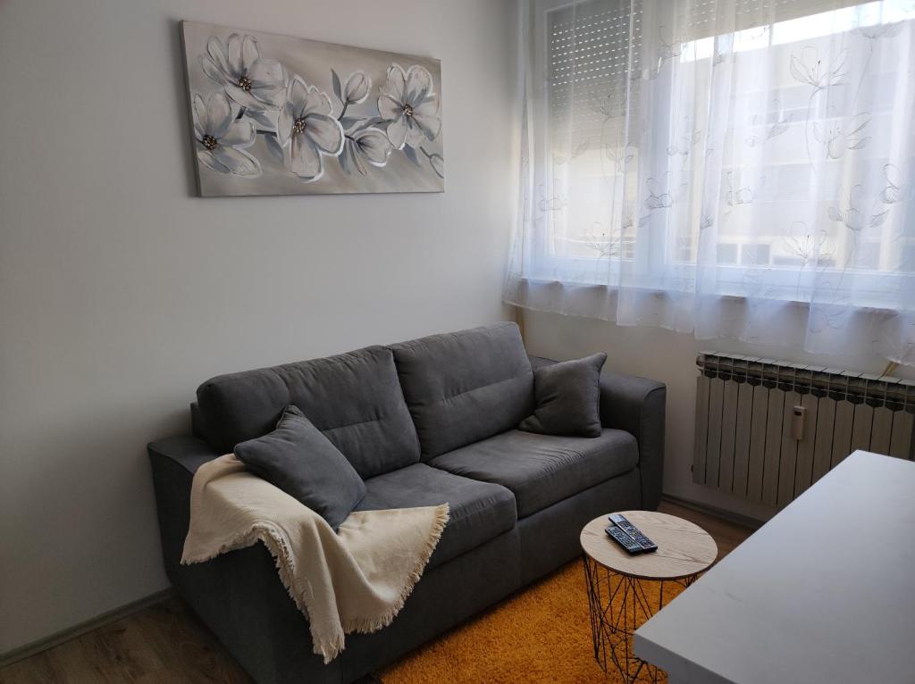 een woonkamer met een grijze bank en een raam bij Apartman Emy in Karlovac