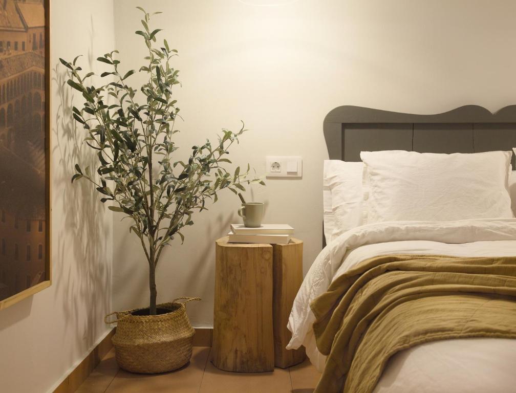- une chambre avec un lit et une plante dans un panier dans l'établissement Apartamento Tarazona Centro, à Tarazona de Aragón
