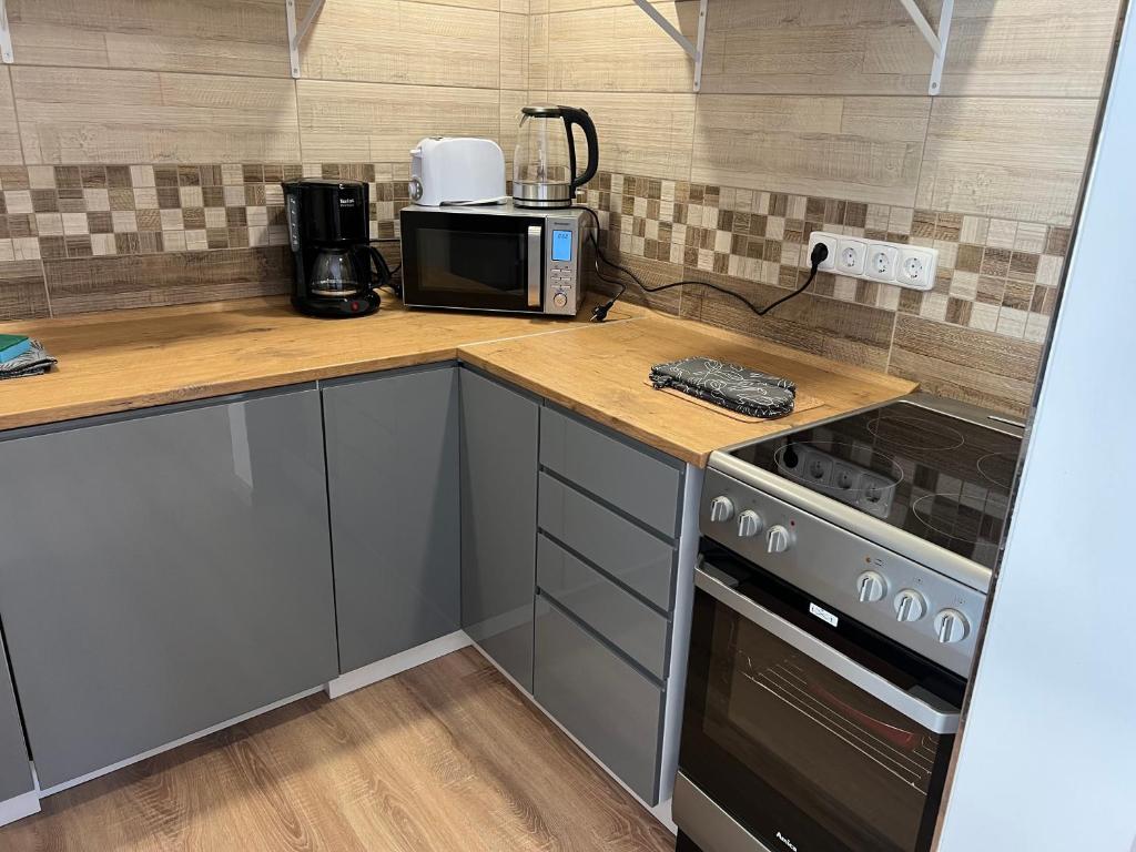 Kuchyň nebo kuchyňský kout v ubytování Apartments Badallee 4