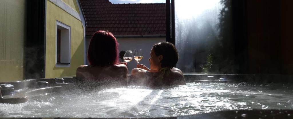 Επισκέπτες που μένουν στο Škorničkův statek - Tátova chalupa s wellness za příplatek