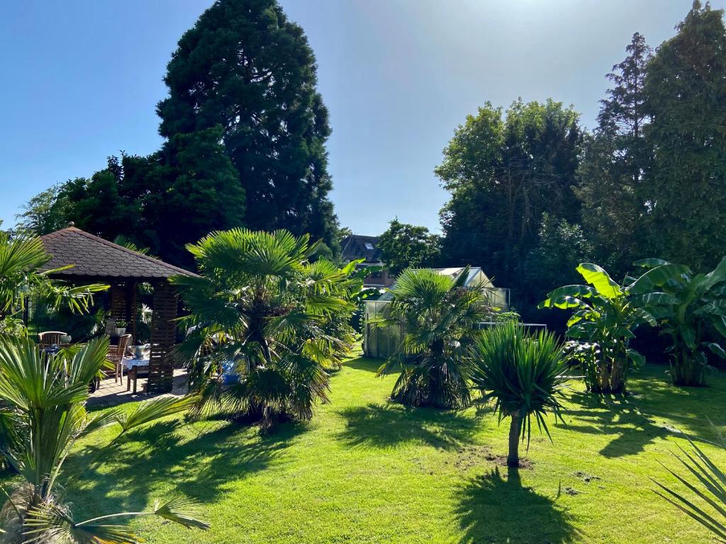 a yard with palm trees and a house at Am Stephanswäldchen in Kamp-Lintfort