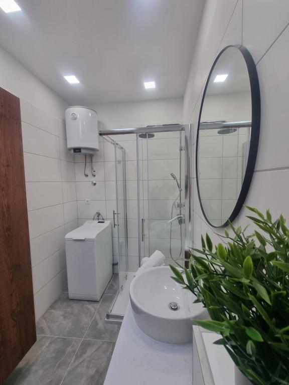 Koupelna v ubytování Apartment Miric